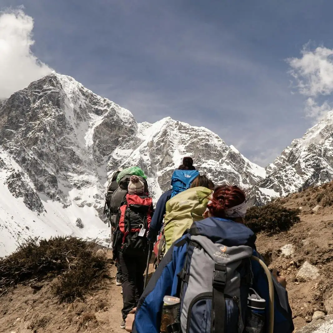 Group of hikers trekking on a sunny day with snow-capped mountains in the background. Outdoor adventure scene.