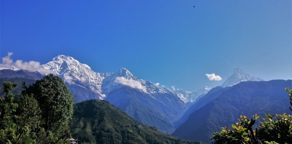 green trees on mountain under blue sky during daytime