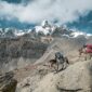 two donkeys walking on rock mountain carrying bags under cloudy sky
