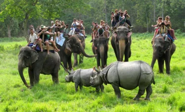 Chitwan Jungle Safari