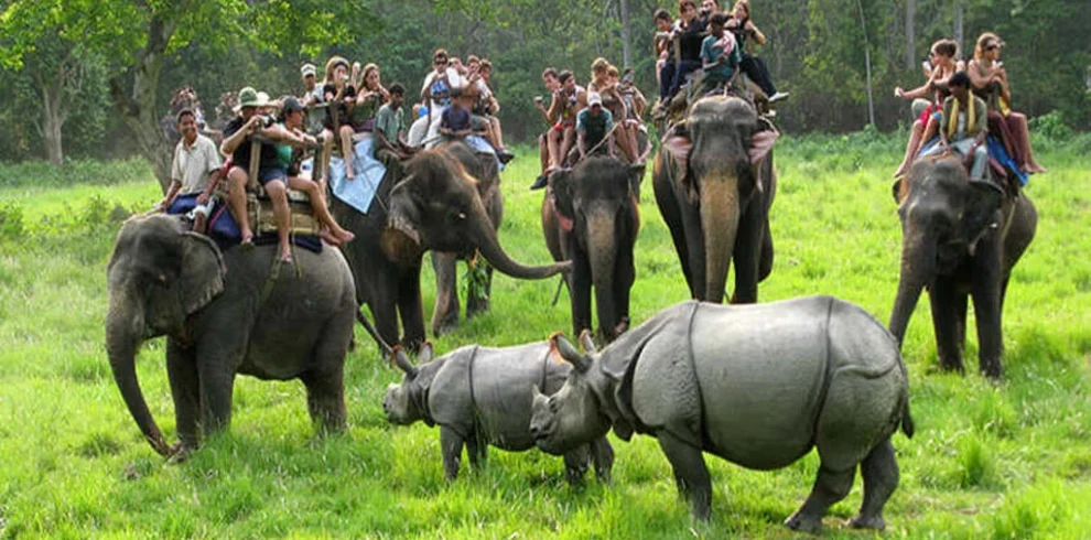 Chitwan Jungle Safari