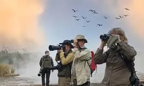 Bird Watching Tours-two
