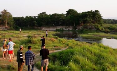 Kosi Tappu Wildlife Tour