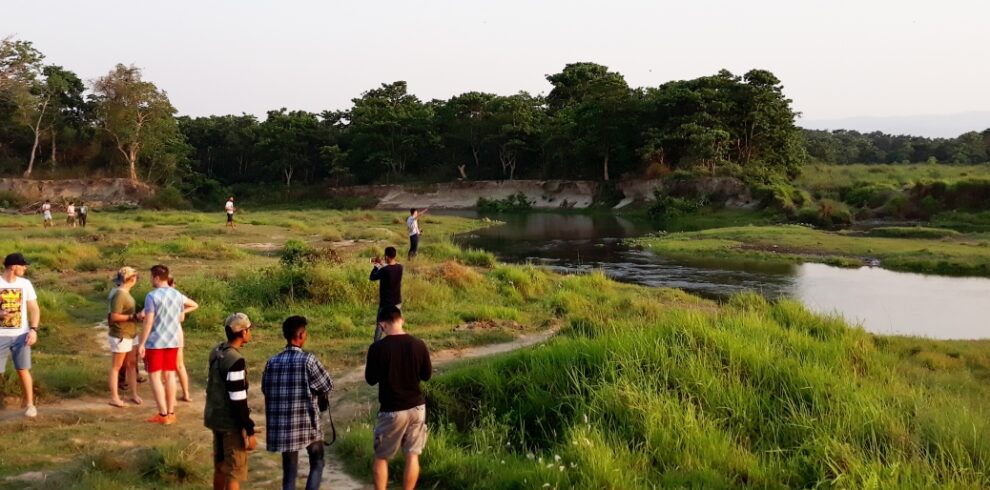 Kosi Tappu Wildlife Tour