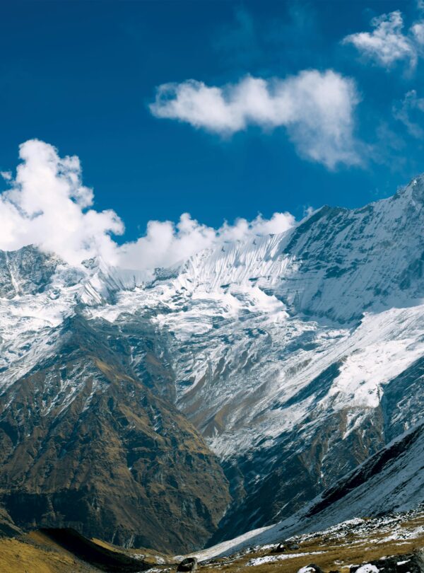 pexels-thepoeticimagery-1505175-2902939 (1)