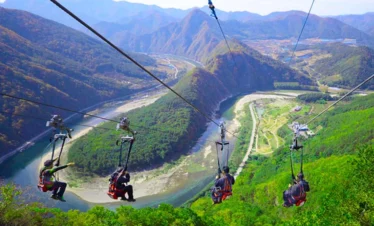 Zip Flyer