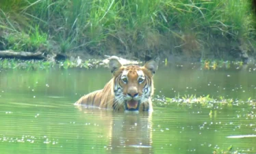 Bardia-National-Park