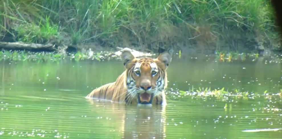 Bardia-National-Park