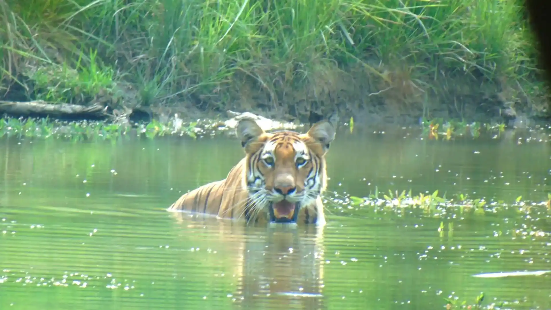 Bardia-National-Park